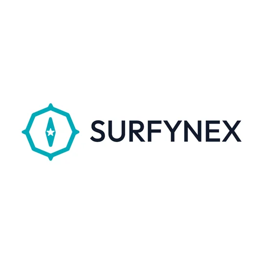 Surfynex logo design by Masterful World