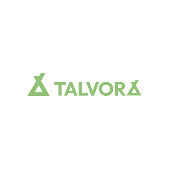 Talvora logo design by Masterful World